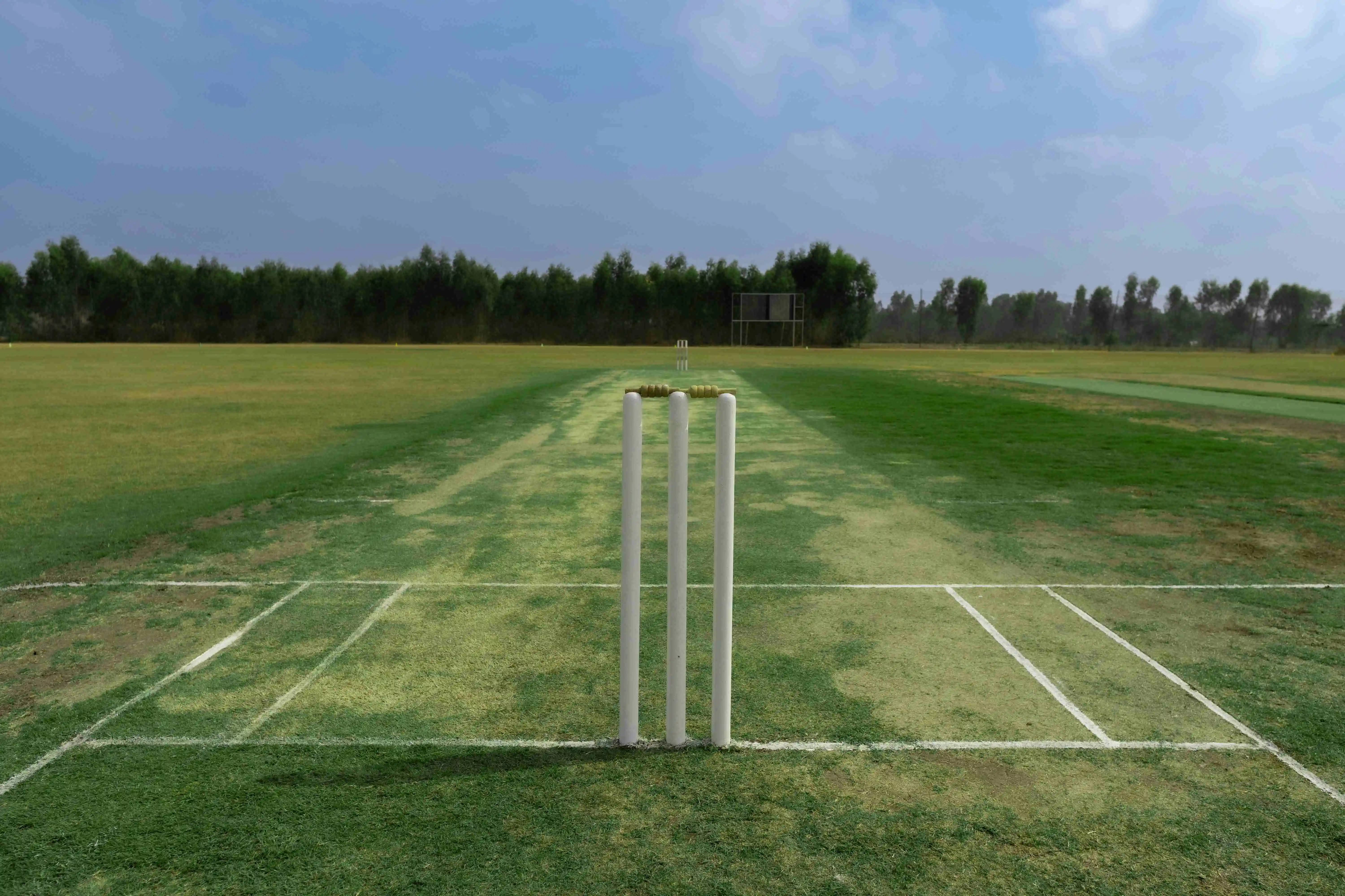 cricket pitch