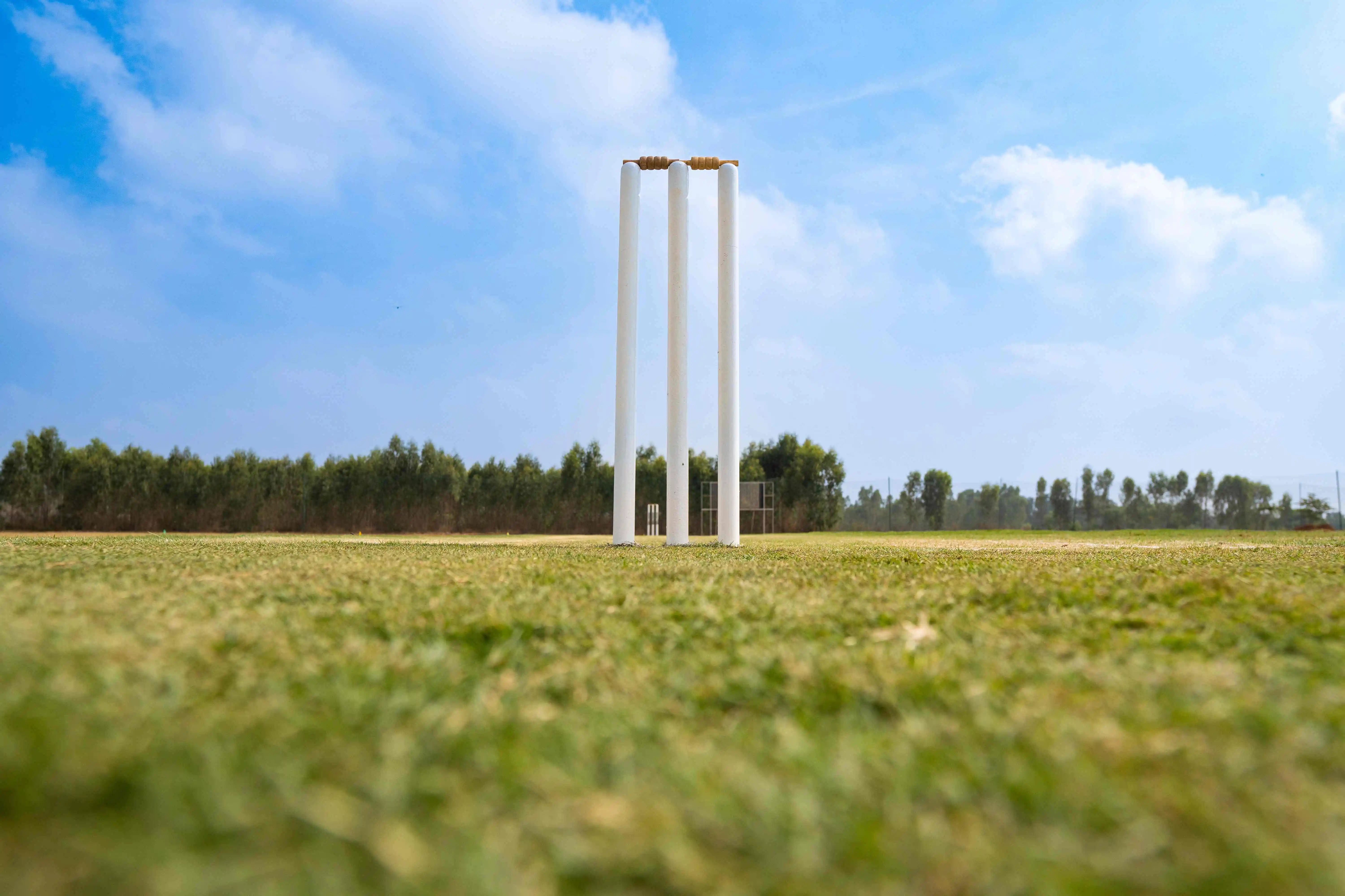 cricket stumps